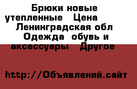 Брюки новые  утепленные › Цена ­ 700 - Ленинградская обл. Одежда, обувь и аксессуары » Другое   